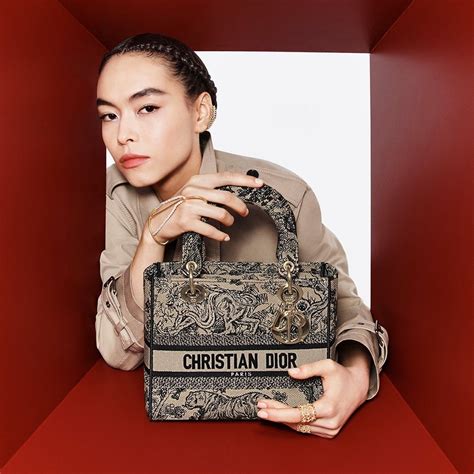 dior bags 2016|most popular christian dior bag.